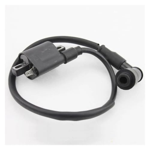 Bobine d'allumage pour ATV 150cc à 250cc avec kit CDI et relais - 5