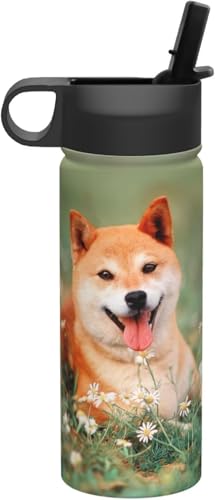 Č   ԕ 킢   ^fM ۉ ۗ X|[c{g lC XeX{g X|[cΉ RȂ 530ml j̎q ̎q  v[g