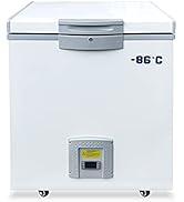 Amazon.com: 0.8 Cu.Ft Ultra Low Temperature Freezer -123 °F