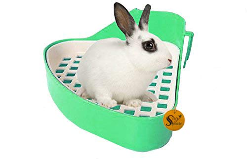 Sage Square Jumbo Size Litter Tray Cum Potty Training for Rabbit/Guinea Pig/Ferret (Green)-image-20