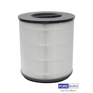 PUREBURG Replacement True HEPA Filter Compatible with Clorox 11030 11031 Medium Rooms Air Purifiers, Part 12030, H13 3-Stage Filtration High-efficiency Activated carbon 2-IN-1,2-Pack