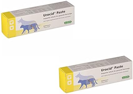 Ausmalbilder Hunde Zum Ausdrucken