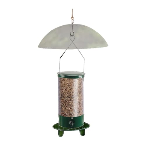 SUNCN gC ̉a t - 쒹̉a Jo[t ̑p̉a tB`XYp̉a|[g4