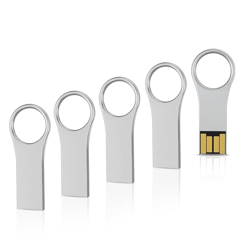 Clé USB en métal argenté RAOYI 64 Go lot de 5 accessoires de stockage design pour PC