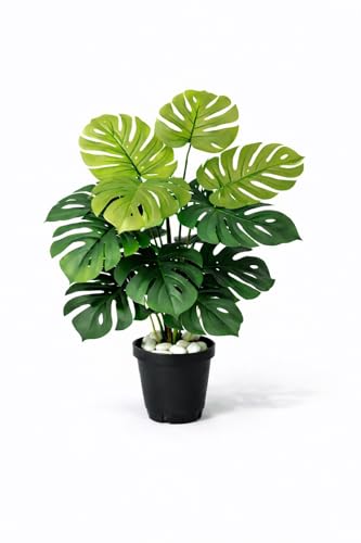 Indoor vs Outdoor Artificial Plants: Which Is Better? 5 Artificial Plants for Decoration |Artificial Plants with Rubber L...