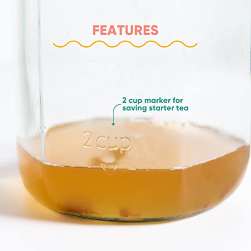 Craft A Brew Home Brewing Starter Kit Kombucha Tea Kit – Home Kombucha Kit – Fermentation Starter with Kombucha SCOBY – 1 Gallon