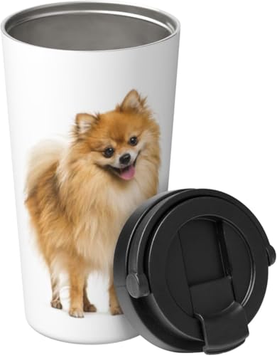  |jA  }OJbv ^fM ۉ ۗ lC XeX{g X|[cΉ RȂ 500ml j̎q ̎q l q  v[g [sAi]