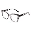 White Black Tortoise