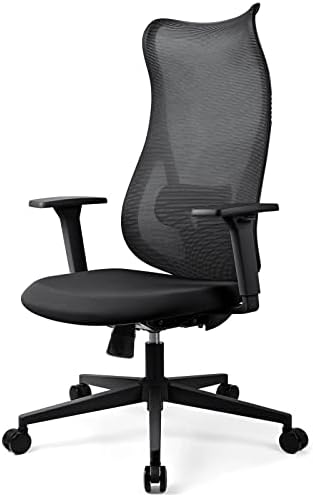 MELOKEA Ergonomic Office Chair, Desk Chair with Adjustable Lumbar Support, High Back Computer Chair, Mesh Office Chairs for Home, Black