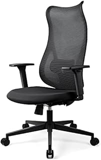 MELOKEA Ergonomic Office Chair, Desk Chair with Adjustable Lumbar Support, High Back Computer Chair, Mesh Office Chairs for Home, Black