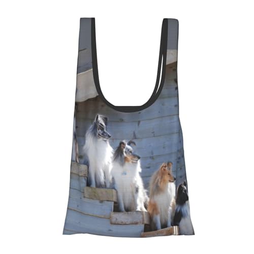 [zhandiffy] {[_[R[ VFbghV[vhbO AXJ @\܃GRobO ܂肽ݓGRobN 񂰂 RrjobO ܂肽ݔ hf Vb