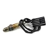 【Optimiertes Luft-Gas-Verhältnis】 Hilft dem Motor, bei perfektem Luft-Gas-Verhältnis effizient zu laufen. Verbessern Sie das Ansprechverhalten und die Leistung des Motors.