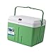 YIJU Portable Cooler Box Cold and Hot Insulated Case Sturdy for Fishing Food Preservation Box with Carry Handle, 13L