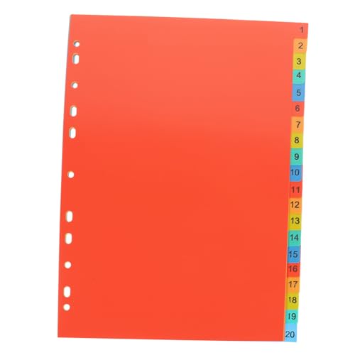 ASAKKURA 20枚 プラスチック製バインダー用インデックスページ タブ付きカラー仕切り紙 学校 オフィス用ファイル整理索引