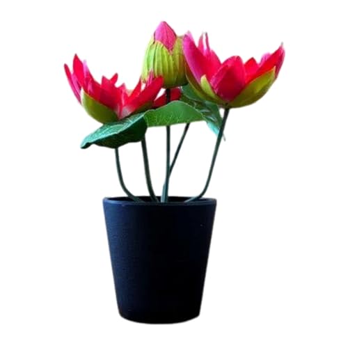 L[t(Q-FLA)  A[eBVt[ 䋟nX|bg RE bh   796111