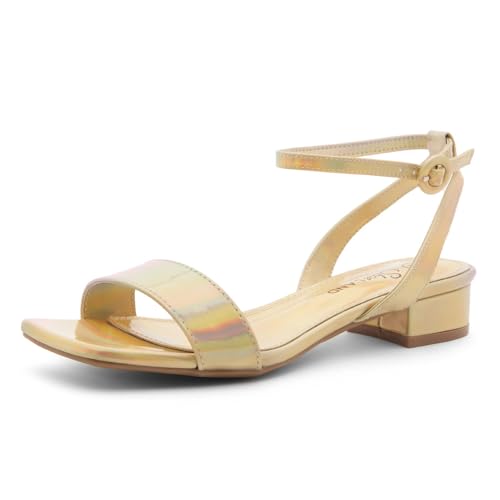 Image of Shoe Land Low Heels for Women 1 Inch Chunky Block Heeled Sandals Square Open Toe Strappy Ankle Strap Dressy Sandals for Wedding Prom Party Office