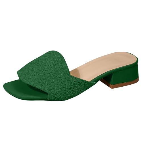 Cocila Sandalias De Playa Casual Cómodas Zapatos Tacón Medio con Tiras Y Pez para Mujer Zapatillas Graciosas (Green, 40) Comodas Calzado Verano Chanclas Piscina Animal Print Juanetes Casa