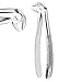 PC EXTRACTING Forceps #MD3 English Pattern Dental Instruments