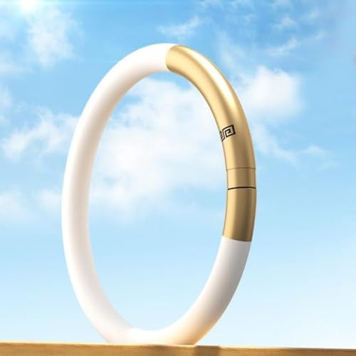 Vlwmh uXbg2024N̉悯΍悯uXbg O _j悯 IVlqp Mtg{bNXpbP[WAtB3{t XCb`ސ\ VR TCY\ lqp IV /p s 