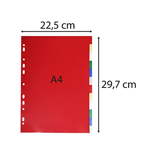 Exacompta 3012E Divisori e Segnaletica, 21x29.7