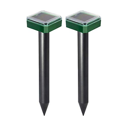 Haixifry g Q΍ Qb΍ \[[[d h Qbފ L悯 悯 悯 lY~ Q΍ Q΍ AAybg̉ƁAACO}AVĴ߂̉O}~ (2)