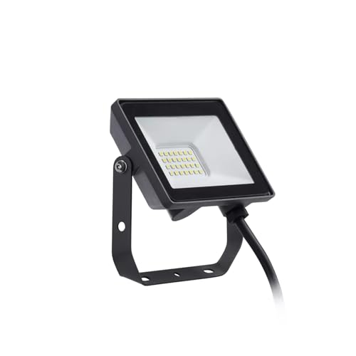 PILA Faretto LED per esterni, 20W, non dimmerabile, luce bianca neutra (4000K), 1900 lumen, alluminio, IP65, IK06, classe I, 35.000 ore di durata utile, cavo da 30 cm