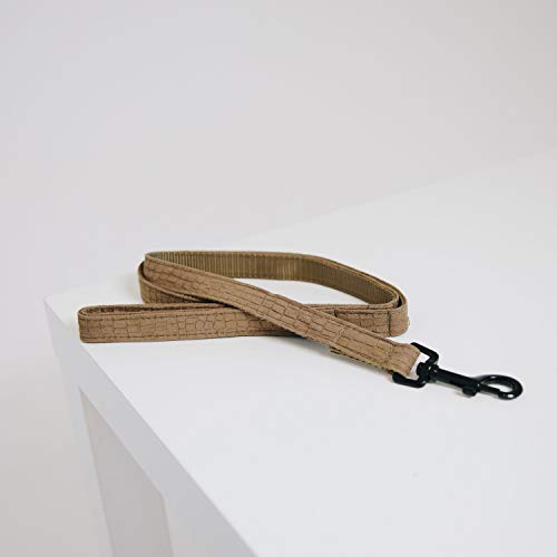 Chien accessoires : la laisse canvas brun anti-irritation et ultra solide - 2