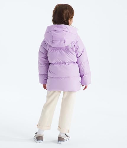 Image of THE NORTH FACE unisex-baby North Down Fleece-lined Parka