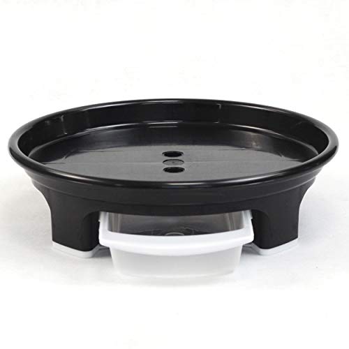 CHUNGUN EX-10 Inch Wide Plant Saucer Heavy Duty Hold up to 200 lbs/Flower