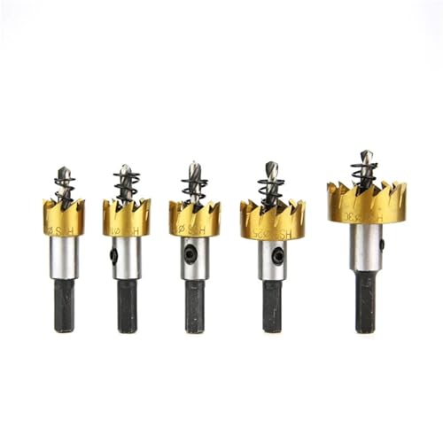 Set de 5 brocas de sierra hueca para madera y metal miniatura 5