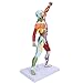 LZKW Body Muscle Structure Model, Reliable Muscular System Model Durable Muscle Education for Art Teaching for Explanation