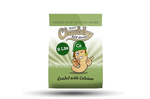 2lb Dried Black Soldier Fly Larvae Non-GMO Dried Insects for Chickens High Protein Chicken Feed Meal Worms for Wild Birds & Chicken Treats for Laying Hens