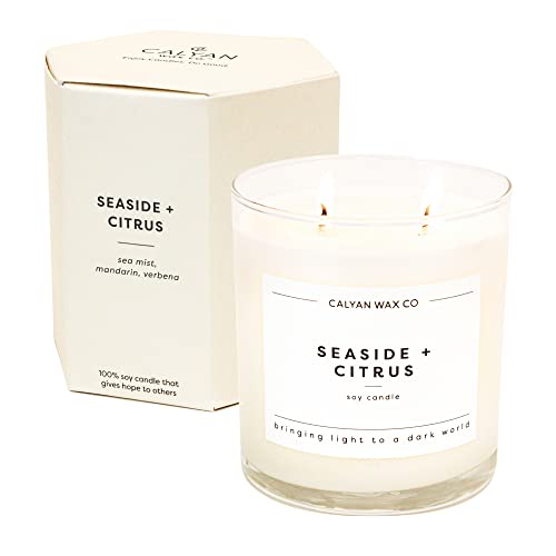 Calyan Wax Co. Seaside & Citrus 2 Wick Scented Candle