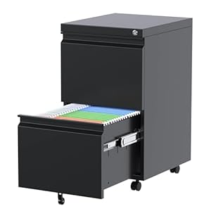 Aobabo 2 Drawer File Cabinet, Lockable Metal Filing Cabinet with Wheels for Home Office, Legal/Letter Size, Fully Assembled Except Wheels, Black