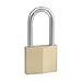 Master Lock 140DLF Padlock with Key, 1 Pack, Brass