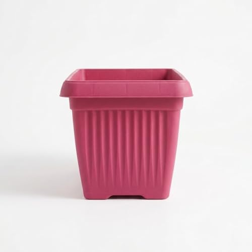 Image of Bello Rectangle 30cm Pink Plastic Planter | Rectangular Flower Pot for Home & Garden (Pack of 1)