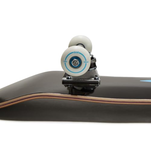 Image of [CCS] Skateboard Complete | Maple Wood | Professional Grade | Fully Assembled with Skate Tool & Stickers | Adults, Kids, Teens, Youth | Boys & Girls