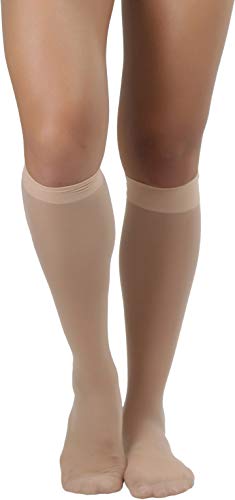 Image of ToBeInStyle Women Pack of 6 Sheer Knee-High Trouser Socks Reinforces Toes