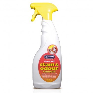How to get rid of dog pee stains on carpet