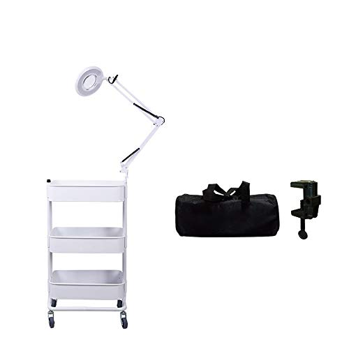 FYZS Utilidad médica Equipo de la Belleza de la Compra, SPA Equipo de Prensa de batir la Carretilla de Compras con la Esteticista Luz, Regulable, Ajustable Brazo Lupa, for el Dentista Shop