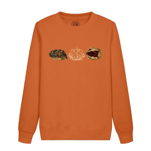 Sweatshirt enfant tortue durable contre les vêtements sans âme