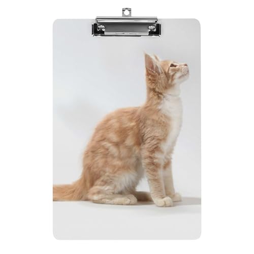 Clipboard chat mignon porte-formulaires A4 idéal pour le bureau et l'école
