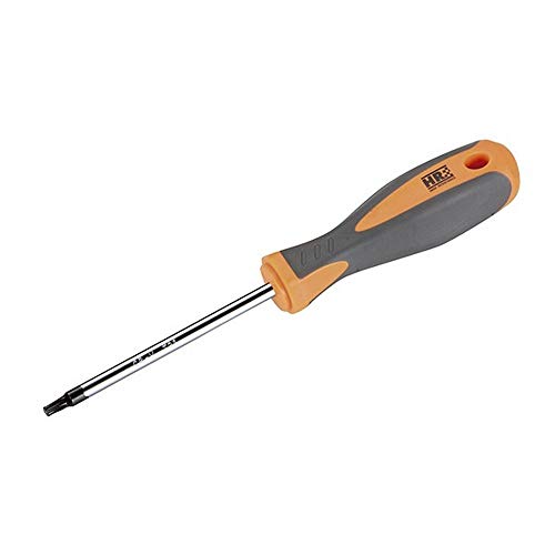 RH 170442 Destornillador Torx, Gris/Naranja, T20 x 100 mm
