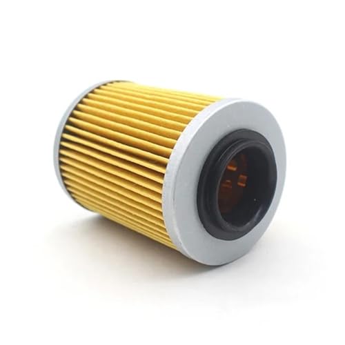 Filtre à huile F9-3X évitez les casses moteur sur Odes LZ800 RM800 21040111601