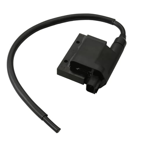 �C�O�j�b�V�����R�C�� G-Dink 125 �l 125cc 3051A-LHG8-E00 3051A-LGE7-E00 �A�N�Z�T���[