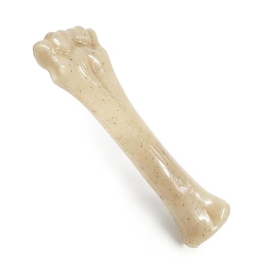 Nylabone Gourmet Knuckle Bone - Filet Mignon Flavor