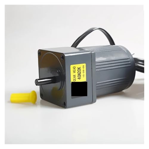 Moteur asynchrone robuste 40W 220V à décélération stable 56RPM - 3