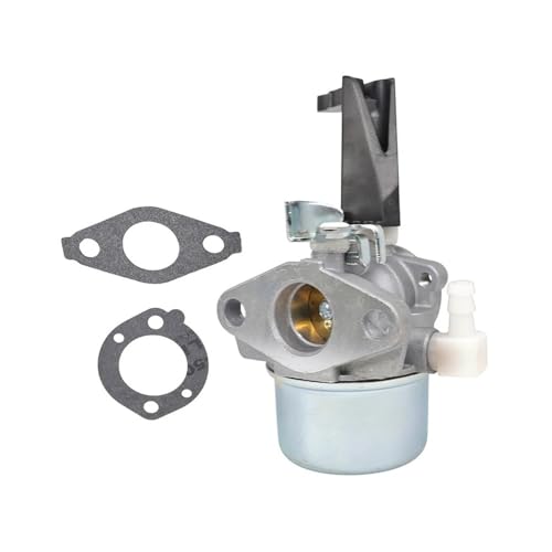Carburateur pour moteurs 696065 697422 pièce de rechange motoculture
