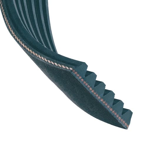 HUTCHINSON 805 K 4 Cinghia servizi