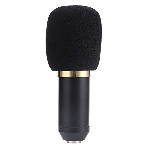 Microfono Dinamico Que Son